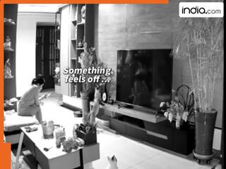 बिल्ली ने बचा ली मालकिन की जान, खतरे से पहले ही दी चेतावनी, देखें Viral Video