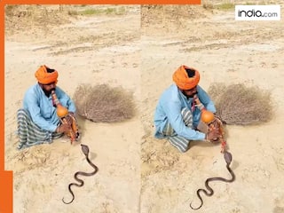 Cobra Saanp Ka Dance: ब्लैक कोबरा ने किया बीन की धुन पर डांस, सपेरे ने जान जोखिम में डाल कर दिखाया कमाल | देखें Video