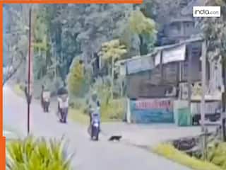 Viral Video Today: अचानक बिल्ली ने काट दिया रास्ता, फिर ऐसा 'अपशकुन' हुआ हिल गया इंटरनेट | देखें वीडियो