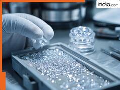 Tariff imposed by Trump comes into effect today, Indian products that would be impacted the most include diamonds and... | Check Full List