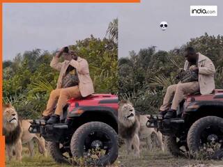 Sher Ka Video: जंगल सफारी में फोटोग्राफी कर रहे थे लोग, अचानक आ धमका शेर | देखें दिल दहला देने वाला वीडियो