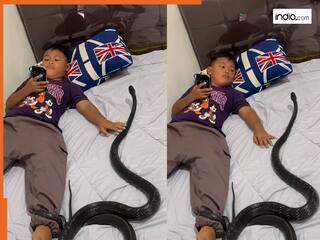 Saanp Ka Video: किंग कोबरा के साथ खेलता दिखा बच्चा, बेड पर मोबाइल चलाते हुए सांप के साथ करता रहा मजे | देखें वीडियो