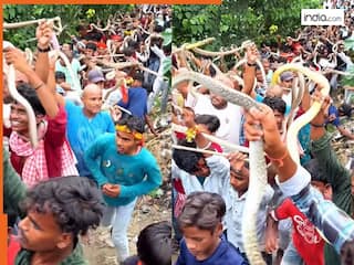 सांपों का अनोखा मेला! भारत में यहां लोग नागों के साथ करते हैं ऐसा काम, Video देख आपके भी उड़ जाएंगे होश
