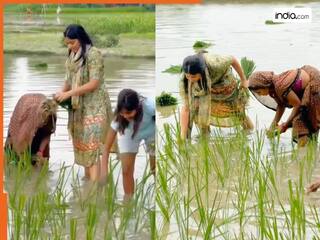 Viral Video: खेत में धान रोपती नजर आईं रिंकू सिंह की मंगेतर, प्रिया सरोज का वीडियो हुआ वायरल | देखें यहां