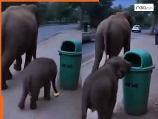 Hathi Ka Video: सड़क पर गंदगी देख नहीं सका नन्हा हाथी, उठाकर डस्टबिन में डाला कचरा, वीडियो देख लोग भावुक