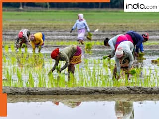 क्या है PM धन धान्य कृषि योजना? इससे किसानों को कैसे मिलेगा फायदा? यहां जानिए सारी डिटेल
