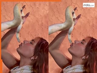 Ladki Ka Video: सांप को ही किस करने लगी लड़की, तभी जो दिखा होश ही उड़ जाएंगे | देखें वीडियो