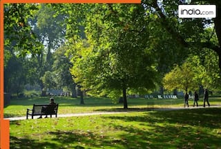 Indian-origin man gets life term for raping schoolgirl in London parks, also found guilty attempting to rape other woman in...