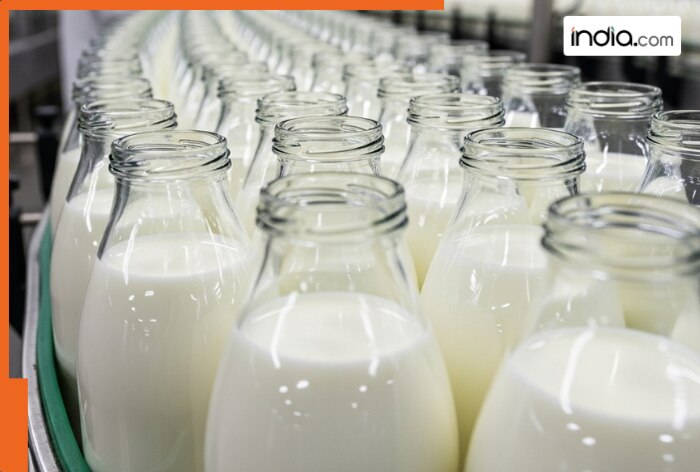 What is Non-Veg Milk that US wants to sell in India, is it from cow, buffalo or...?