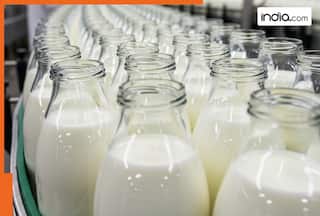 What is Non-Veg Milk that US wants to sell in India, is it from cow, buffalo or...?