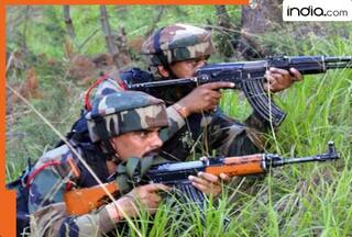 From Operation Sindoor to Mahadev: How do military operations get their unique names? Who chooses them and how?