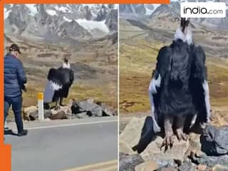 रामायण के 'जटायु जी' को देख लोग रह गए शॉक, इंटरनेट पर वायरल वीडियो ने मचाया धमाल