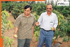 Mukesh Ambani owns Asia’s largest mango orchard, over 200 varieties of mangoes are grown here, it is located.., it is named..