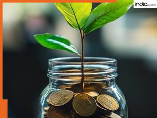 ट्रंप के टैरिफ का असर नहीं, इस साल तक अमेरिका से भी आगे निकल जाएगा भारत, रिपोर्ट में भारतीय अर्थव्यवस्था को लेकर चौंकाने वाला दावा