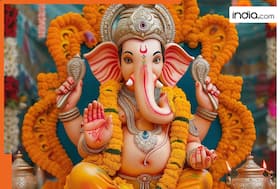 india.com top news