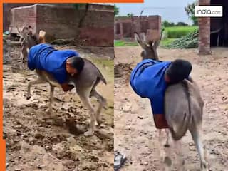 india.com top news