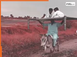 india.com top news