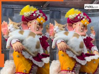 गणेश जी की गोद में चैन की नींद सोती दिखी बिल्ली! लोग बोले- मूषकराज की तो अब छुट्टी, देखें Video