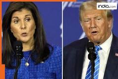 Nikki Haley warns Trump of China's ambition amid tariff war with India: 'It would be a disaster if..., India only country that can...'