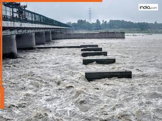 दिल्ली-हरियाणा पर बाढ़ का खतरा, हथिनीकुंड बैराज से यमुना में छोड़ा गया 1.78 लाख क्यूसेक पानी, सरकार ने जारी की एडवाइजरी