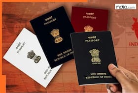india.com top news