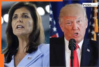 Trump Tariffs: Nikki Haley faces Republican flak after calling India a 'prized partner'; urges New Delhi to work with Trump to...