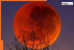 Blood moon to solar eclipse, THESE cosmic events will take place in September; check dates, events that will be visible in India