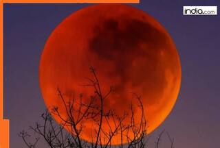 Blood moon to solar eclipse, THESE cosmic events will take place in September; check dates, events that will be visible in India