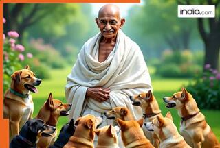 Stray dogs debate: Why Mahatma Gandhi approved the killing of 60 dogs in 1926, reason was...