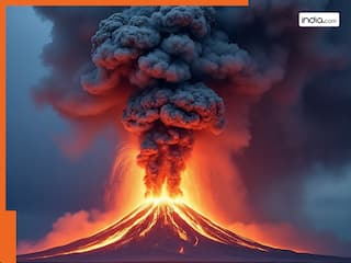 india.com top news