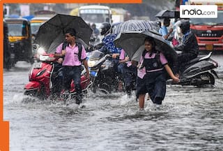 Mumbai Rains: Schools, colleges, offices, banks, OPEN or CLOSED today, August 19? Details here