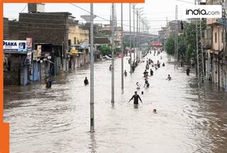 Pakistan floods: 189 deaths in 24 hours in Khyber Pakhtunkhwa province, helicopter crashes during rescue