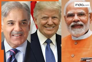 Pakistan hits JACKPOT due to Trump's tariff, set to become rich, Indian farmers may suffer due to..., may decide to switch to...