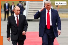 india.com top news