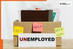 ‘Have applied to hundreds of jobs, but…’: Job crisis in US as layoffs continue across the country, no new hirings