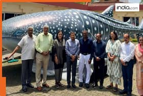 india.com top news