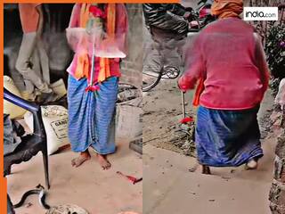 Sapere Ka Video: बीन बजाते ही भाग निकला सांप, हाथ मलता रह गया सपेरा | देखें मजेदार वीडियो
