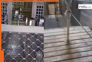 सदियों से छुपा था ताजमहल का ये रहस्यमयी हिस्सा! बंद जोन में घुसा शख्स और फिर जो दिखा, Video देखें