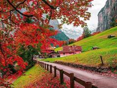 Top 10 Switzerland Tourist Spots Perfect For Indian Holiday Seekers In 2025