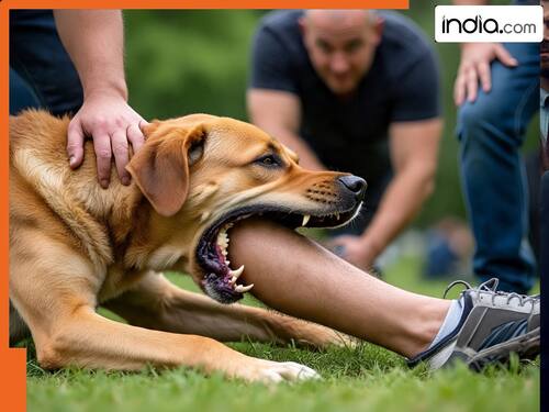Rabies Cases Photos: Latest News, Trending Topics, Images & Pics ...