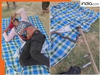 Cobra ka video: पार्क में आराम कर रहे शख्स की टी-शर्ट में घुसा जहरीला कोबरा, आगे जो हुआ Viral Video देख दहल उठेंगे आप