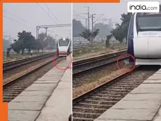 डोगेश भाई के सामने फेल है वंदे भारत की रफ्तार! गोली की तरह ट्रेन के सामने से निकला कुत्ता, Video Viral