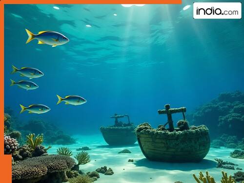 india.com top news