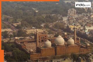 These five ZEE5 shows where heroines outshine the heroes, from a mythological drama with 8.4 rating to inspiring tales of grit and survival, names are...