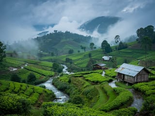 Why Monsoon is the Perfect Time To Discover the Soul of North East India Beyond Its Tourist Trails