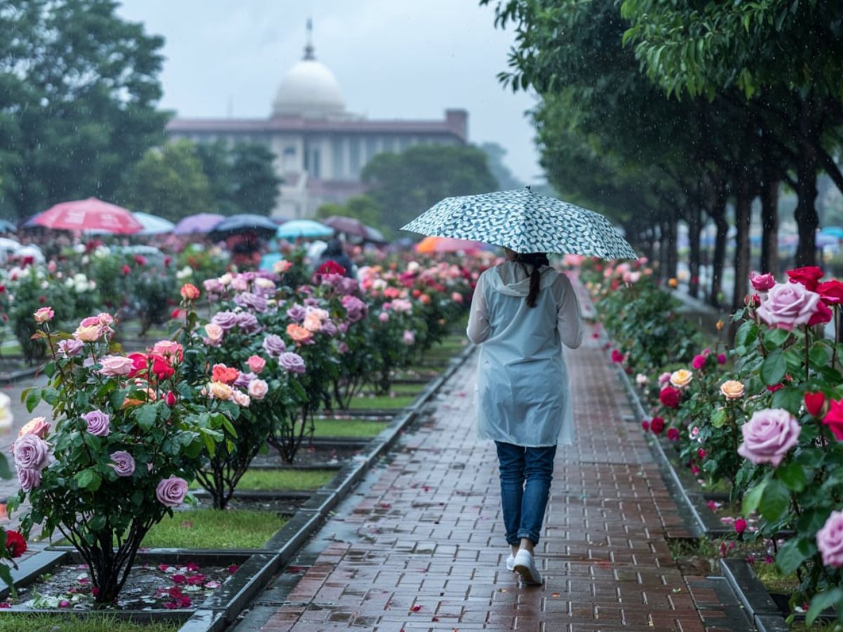 Why You Should Visit Chandigarh During Monsoon Season — A Rainy Escape