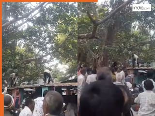 Bandar Ka Video: बंदर ने पेड़ से कर दी नोटों की बारिश, लूटने के लिए दौड़ पड़े लोग | देखें वीडियो