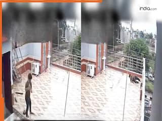 Bandar Ka Video: बंदर को लाठी से मारने दौड़ा था लड़का, मगर खुद की जान आफत में पड़ गई | देखिए ये वीडियो