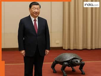 india.com top news