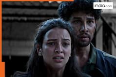 Dhadak 2 box office collection Day 4: Siddhant and Tripti's film fails Monday test, earns just Rs...